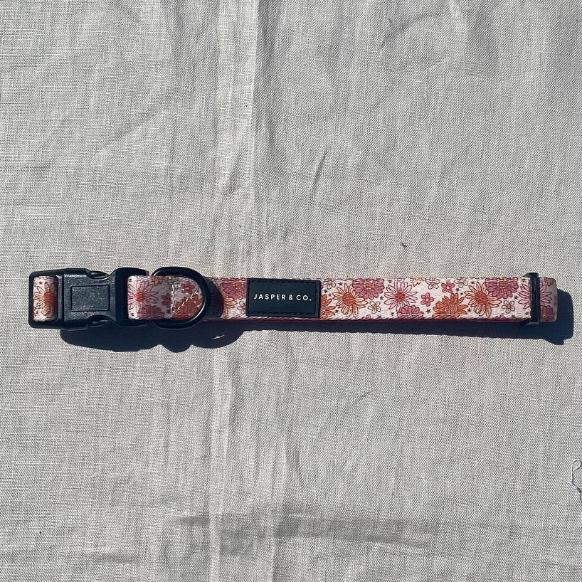 Zinnia Collar