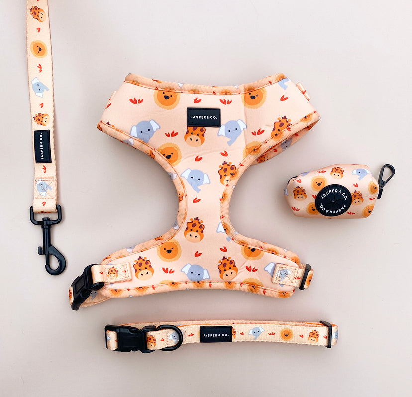 Safari Walk Set Bundle