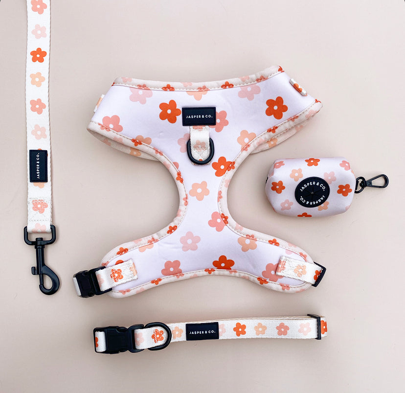 Wild Flower Walk Set Bundle