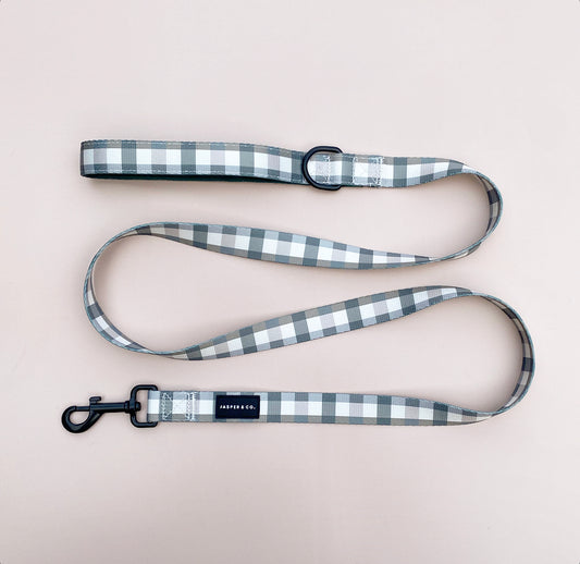 Puppy Plaid Lead