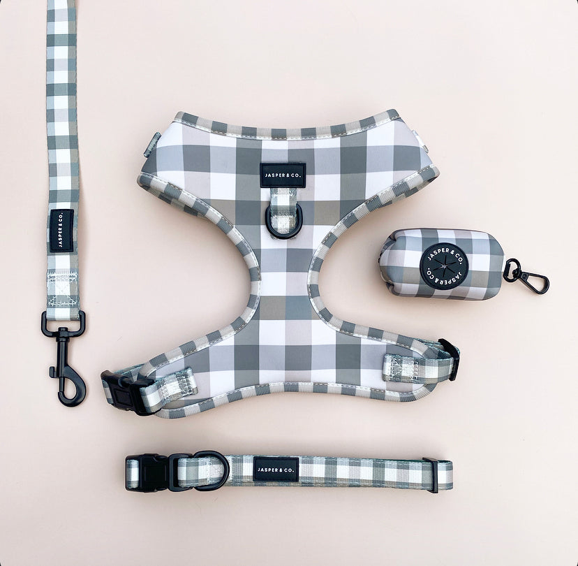 Puppy Plaid Walk Set Bundle