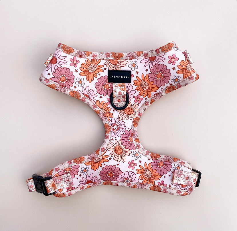 Zinnia Harness