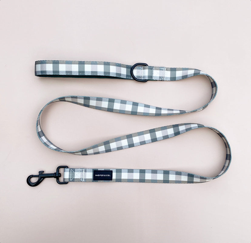 Puppy Plaid Lead